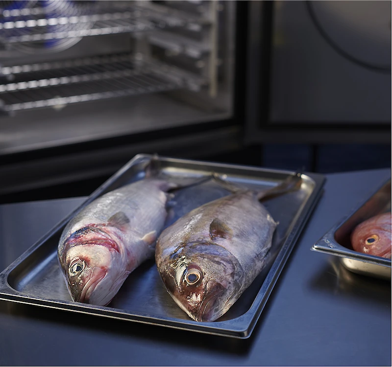 abbattitore lainox in cucina professionale 2